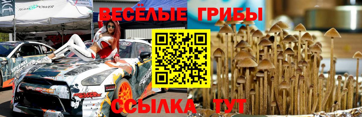 Псилоцибиновые грибы мухоморы  Галлюциногенные грибы Psilocybine cubensis  Киреевск  Вход с VPN 